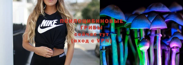 метадон Инта