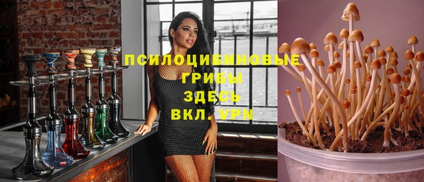 COCAINE Инсар
