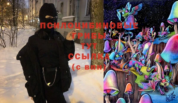 mdpv Иннополис