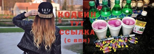 метадон Инта